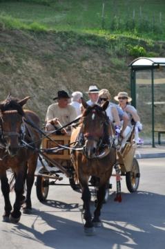 KNOBLEHARJEVO 2012 - Otvoritev ceste in pločnika do osnovne šole Frana Metelka 44
